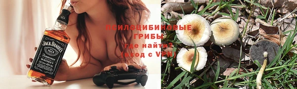 эйфоретик Алексин