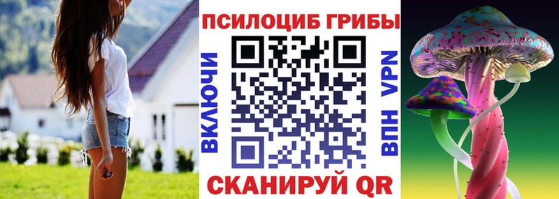 Галлюциногенные грибы Psilocybe  Бикин 